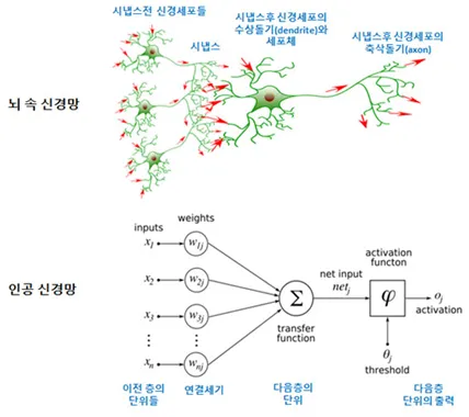 neuron_connect