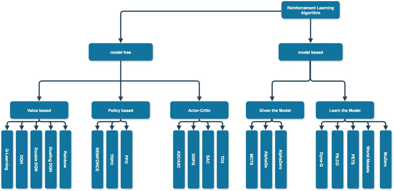 taxonomy